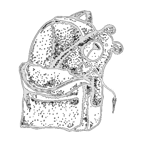 Fostering Love Logo